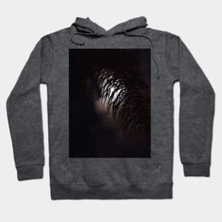 Moon Frond Hoodie